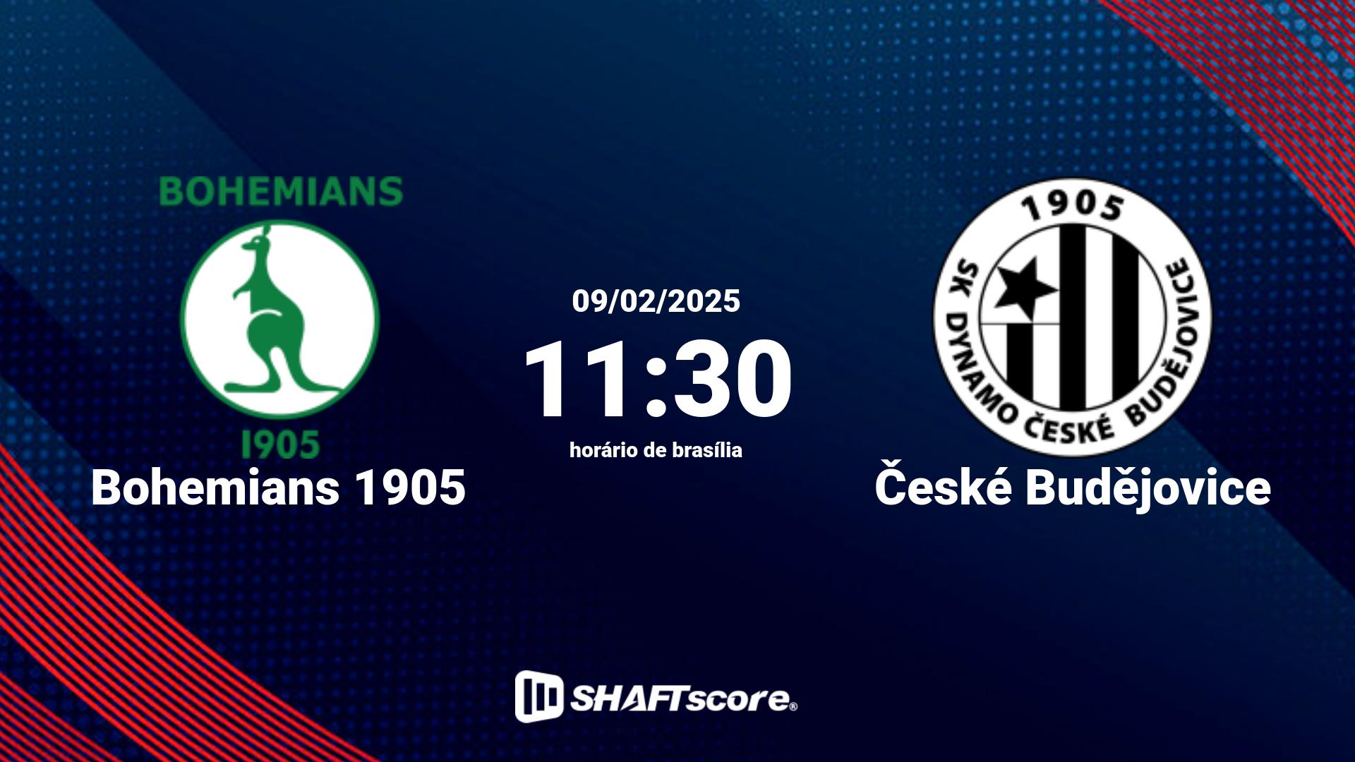 Estatísticas do jogo Bohemians 1905 vs České Budějovice 09.02 11:30