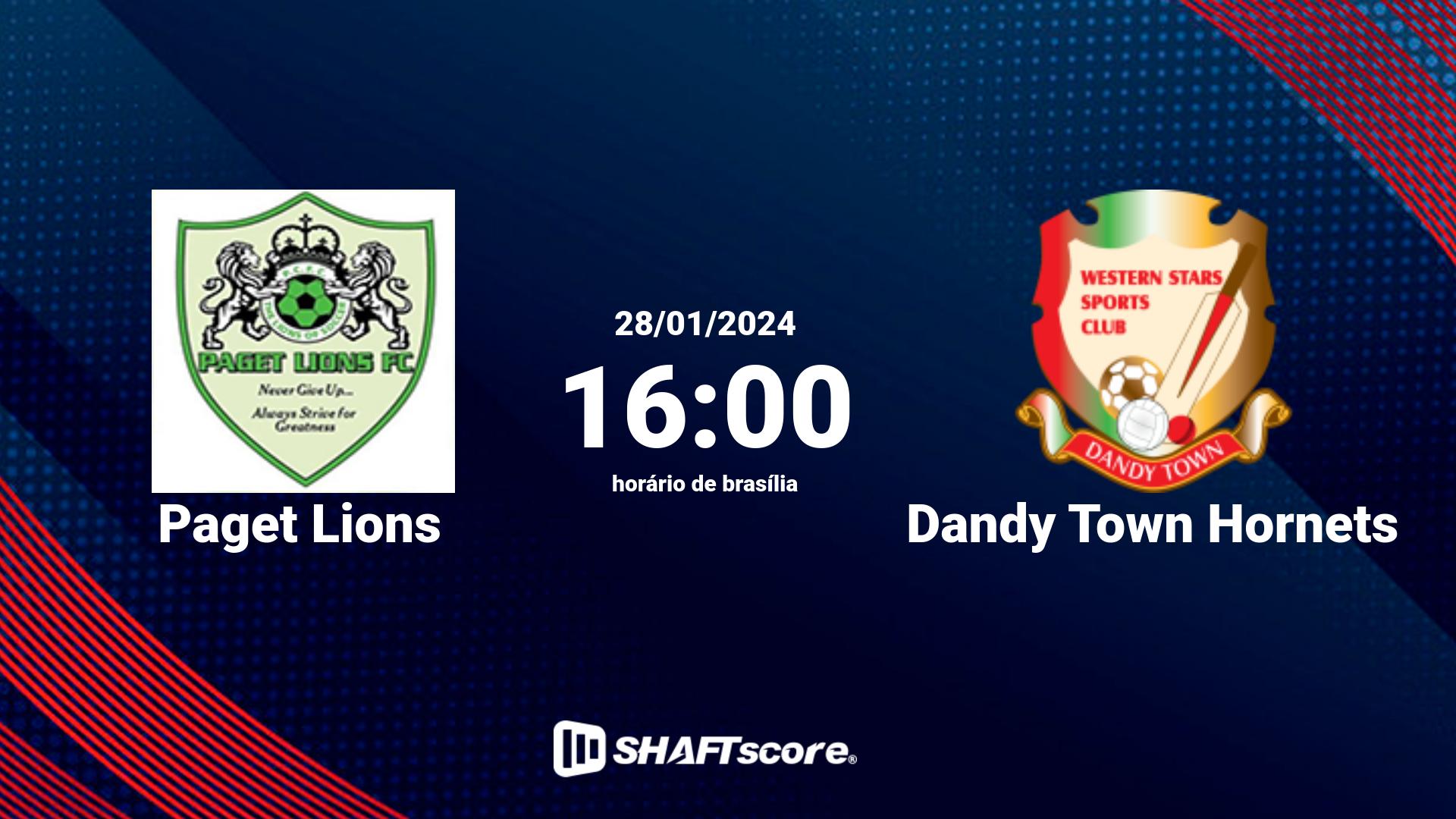 Estatísticas do jogo Paget Lions vs Dandy Town Hornets 28.01 16:00