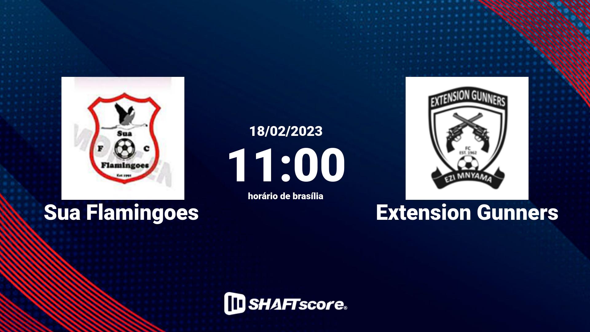 Estatísticas do jogo Sua Flamingoes vs Extension Gunners 18.02 11:00