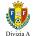 Logo da liga Moldova Divizia Nationala