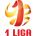 Logo da liga Poland Liga 1